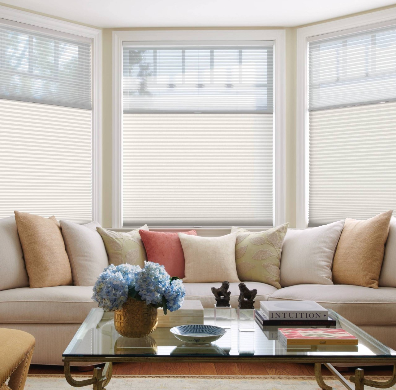 Hunter Douglas shades in a living room near Fairfax, VA